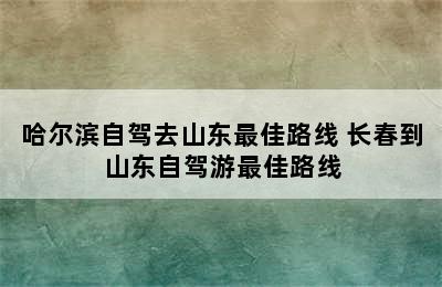 哈尔滨自驾去山东最佳路线 长春到山东自驾游最佳路线